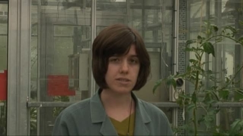 Thumbnail for Rebecca Smith - PhD Plant and Crop Sciences