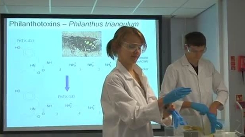 Thumbnail for Claire Wallace - MSci Natural Sciences