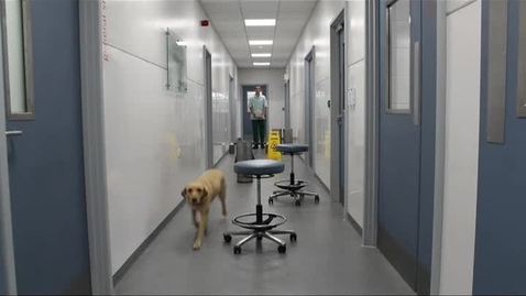 Thumbnail for Ophthalmic exam techniques: Maze test