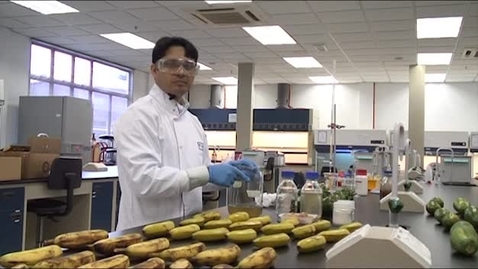Thumbnail for Mehdi Maqbool - PhD Biosciences