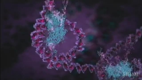 Thumbnail for DNA mutation
