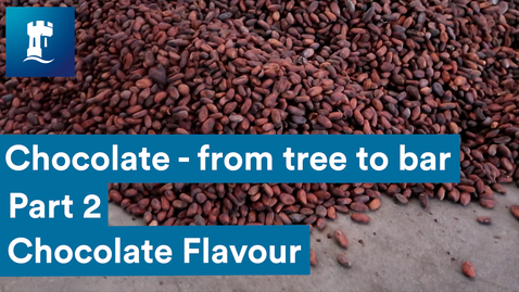 Thumbnail for Chocolate from tree to bar - Chocolate Flavour