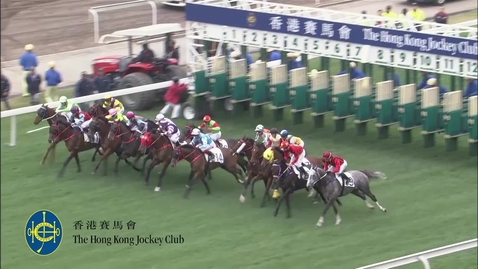 Thumbnail for Using ultrasound to predict return to form for injured racehorses