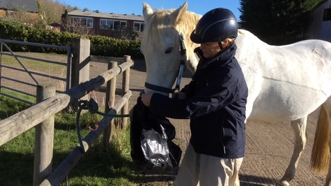 Thumbnail for Use of rebreathing bag in the horse