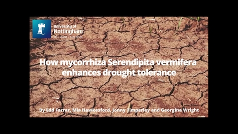 Thumbnail for entry Drought mycorrhiza group 7