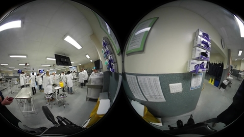 Thumbnail for Gear 360 Wendela Wapenaar try-out dissection