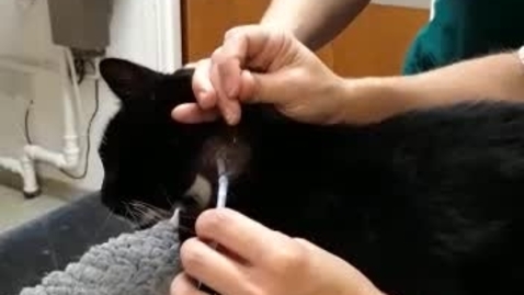 Thumbnail for O-tube removal