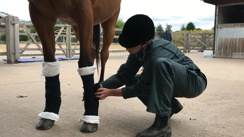 Thumbnail for Applying stable bandages