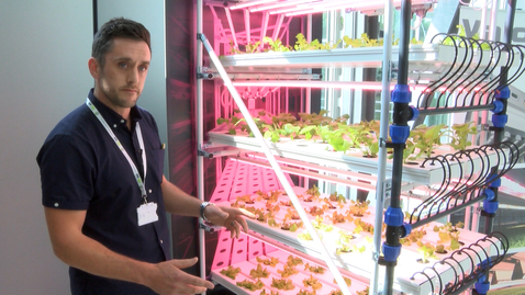 Thumbnail for HydroGarden –  cultivating eco-systems for the future