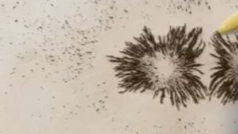 Thumbnail for Pulsed magnetic field therapy: Repulsion magnetic field applicator