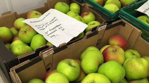 Thumbnail for Do cloned Bramleys taste better than grafted Bramleys? 