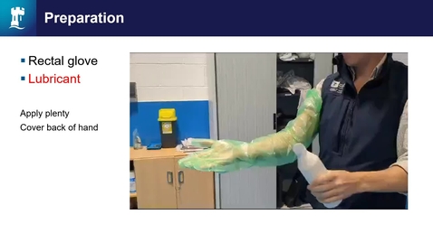 Thumbnail for Equine rectal examination