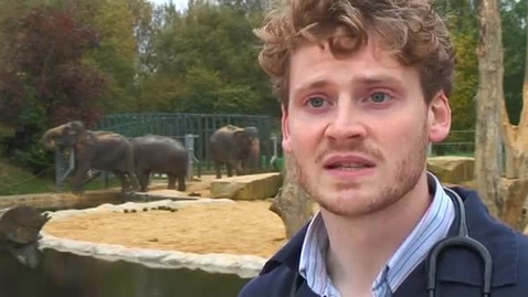 Thumbnail for Toby Trimble - BVM BVS Veterinary Medicine and Surgery with integrated BVMedSci