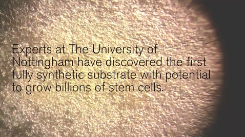 Thumbnail for New material forges the way for ‘stem cell factories’ of the future