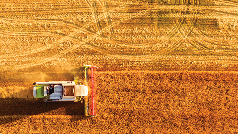 Thumbnail for Exploring new ways to feed the world