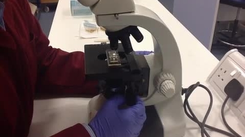 Thumbnail for Performing the McMaster egg counting technique