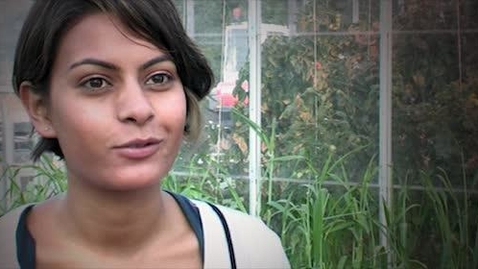 Thumbnail for Anisha Parmar - PhD Crop Improvement