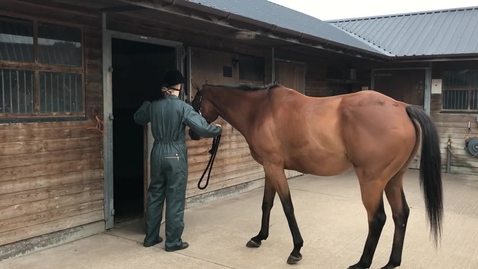 Thumbnail for Moving in and out of a stable