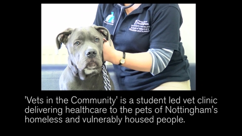 Thumbnail for entry Vets in the Community - how Nottingham vet students help the homeless and their pets