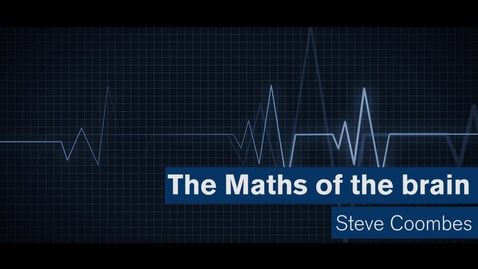 Thumbnail for Maths Matters: The maths of the brain