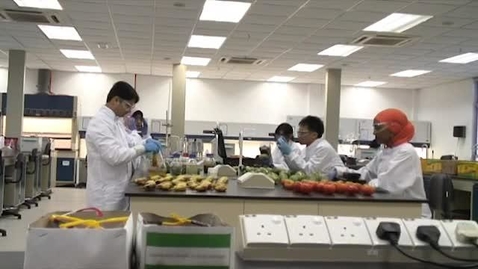 Thumbnail for Making sure the food we grow is good enough to eat