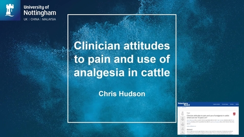 Thumbnail for entry UK vet attitudes to pain and painkillers in cattle