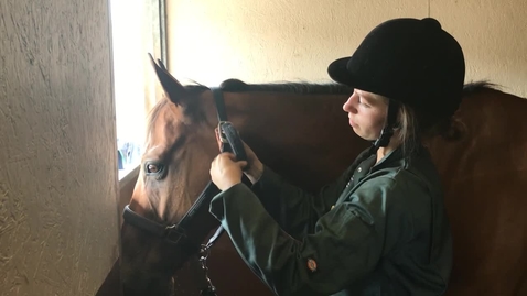 Thumbnail for Applying a head collar