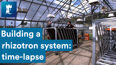Thumbnail for Future Food | building a rhizotron system: time-lapse