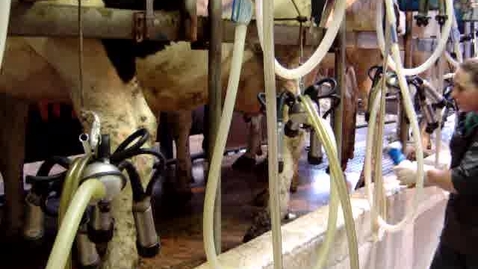 Thumbnail for entry Standard milking procedures: Pre-dipping