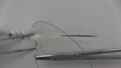 Thumbnail for entry Lembert suture pattern