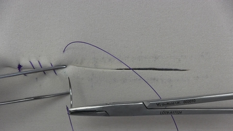Thumbnail for Lembert suture pattern
