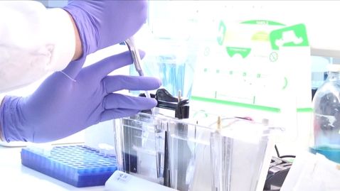 Thumbnail for Re-writing the research on the treatment of infection
