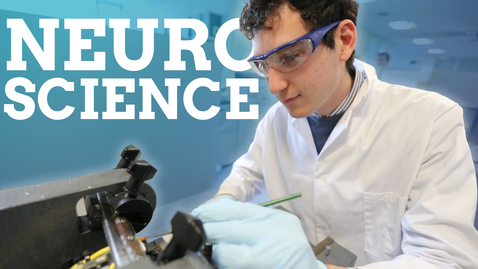 Thumbnail for Neuroscience | work experience, projects and being an international student