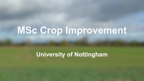 Thumbnail for entry MSc Crop Improvement