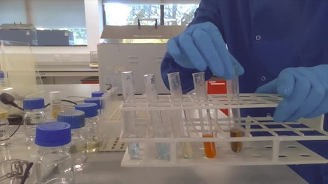 Thumbnail for Qualitative analysis of biological molecules