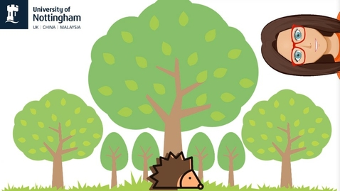 Thumbnail for Hedgehogs! Facts and actions we can take to help them