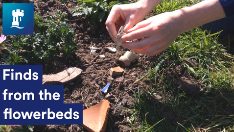 Thumbnail for Finds from the flowerbeds