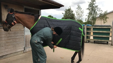 Thumbnail for Types of horse rugs