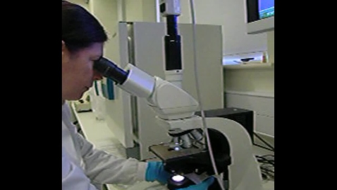 Thumbnail for Assessing semen motility