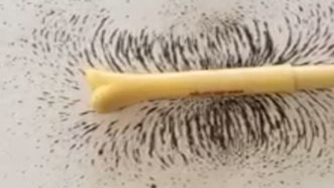 Thumbnail for Pulsed magnetic field therapy: Repulsion magnetic field pattern