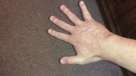 Thumbnail for Supination and pronation of the forearm