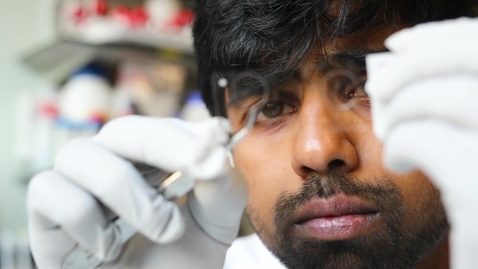 Thumbnail for Studying a PhD at the School of Medicine