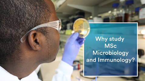 Thumbnail for entry Why study MSc Microbiology and Immunology?