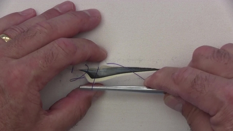 Thumbnail for entry Cushing suture pattern