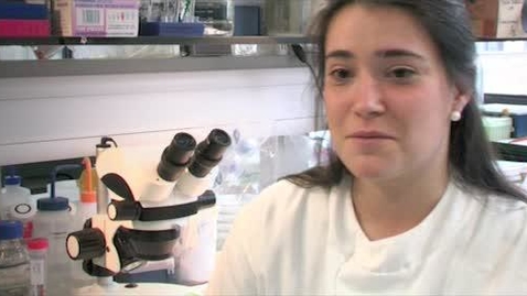 Thumbnail for Belin Romero - PhD Genetics