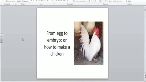 Thumbnail for entry From egg to embryo: or how to make a chicken - by Dylan Sweetman