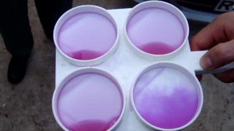 Thumbnail for Using a four-well paddle to perform the California Mastitis Test