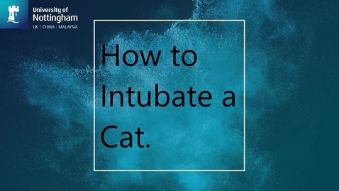 Thumbnail for Intubating the cat