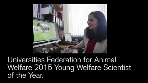 Thumbnail for Young Animal Welfare Scientist of the Year