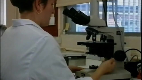 Thumbnail for Semen evaluation in the dog